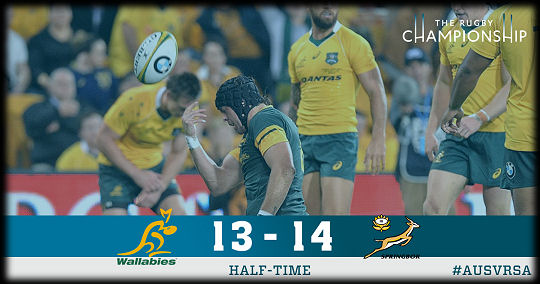 Wallabies v Springboks